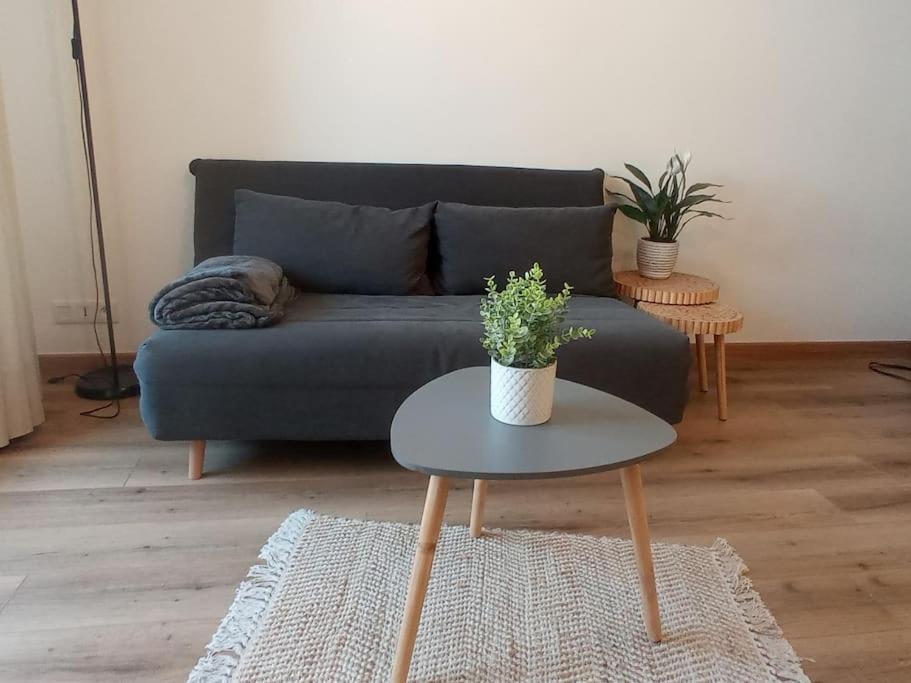 A 50 M De La Plage, Appartement De 35 M2 : Les Pieds Sales 布雷阿勒 外观 照片